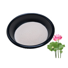 Water Soluble Lotus Leaf Extract 2% 5% Nuciferine Powder